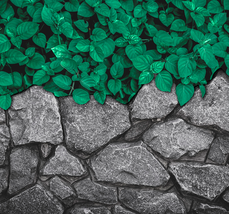 Fototapeta do salonu liście i kamienie 3D - TenStickers