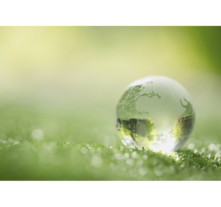 Fototapeta las kropla wody na trawie - TenStickers