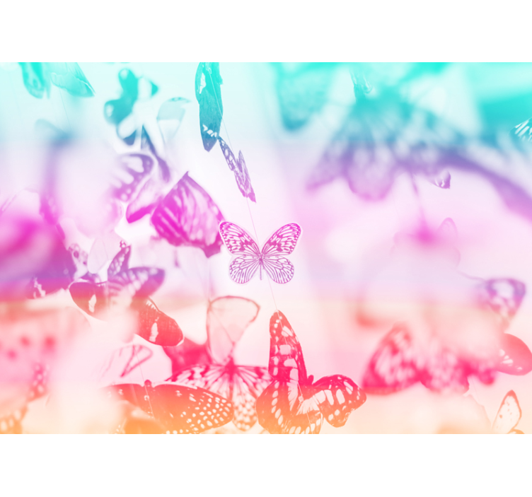 Fototapeta w kwiaty scena ogrodu z motylami - TenStickers