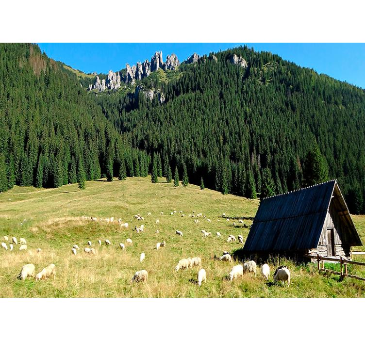 Fototapeta krajobraz scena górskiej zieleni - TenStickers