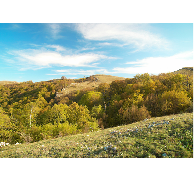 Fototapeta krajobraz wzgórza w rolling hills - TenStickers