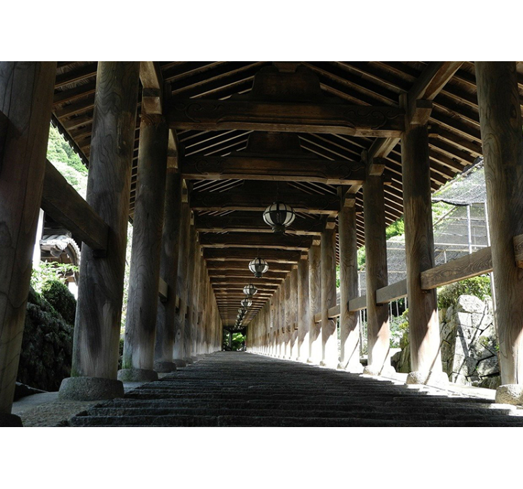 Fototapeta las z widokiem na drewnianą ścieżkę - TenStickers