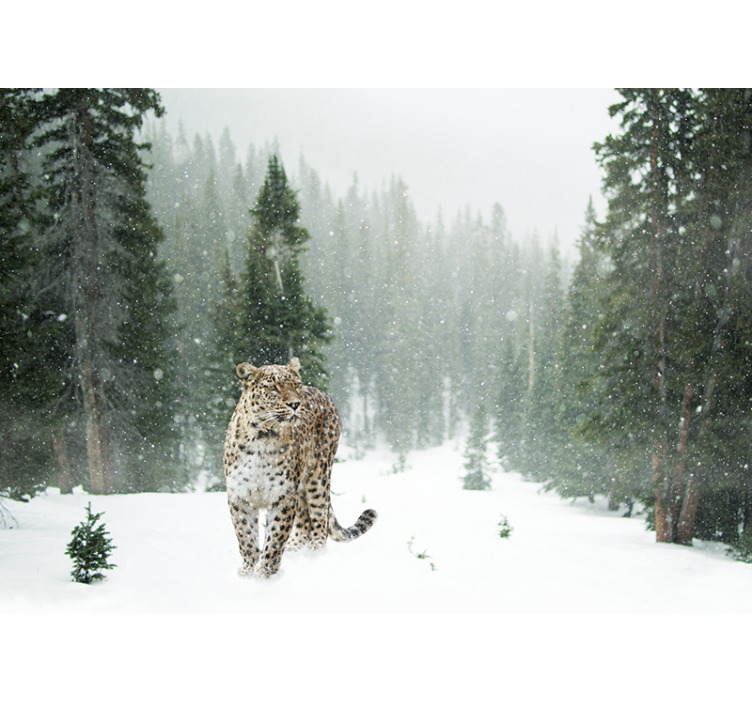 Fototapeta 3d leopard ze zwierzęciem - TenStickers