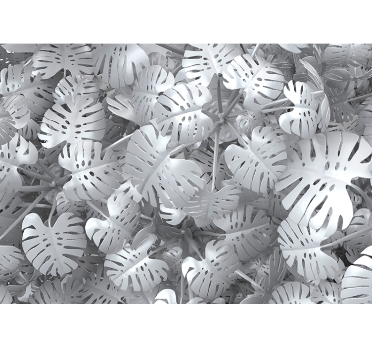 Fototapeta natura wzór liścia monstery - TenStickers