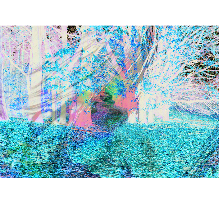 Fototapeta las ścieżka jesienna - TenStickers