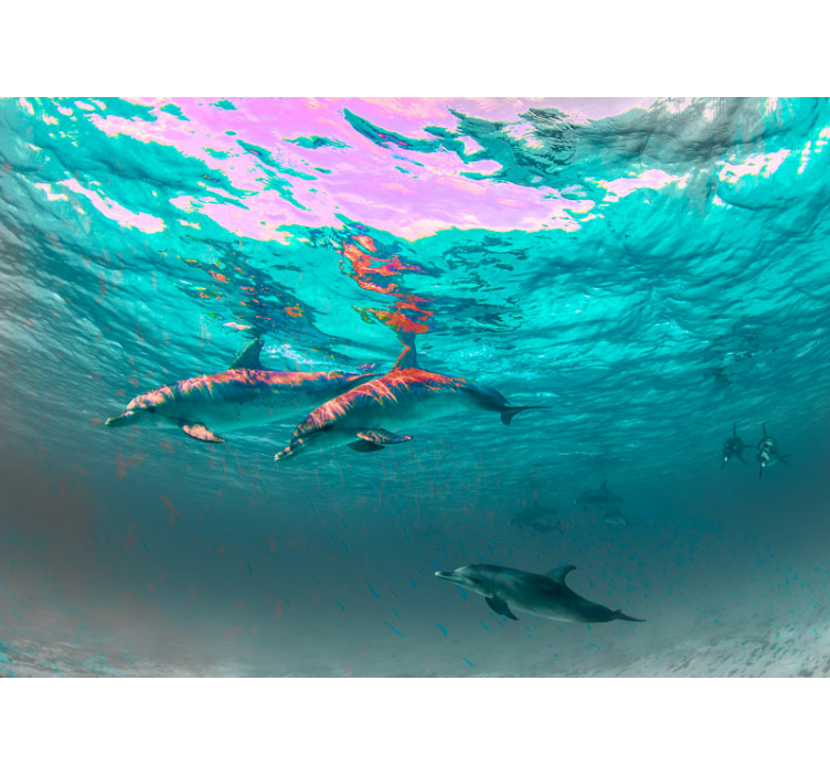 Fototapeta zwierzęta delfiny pływające radośnie - TenStickers