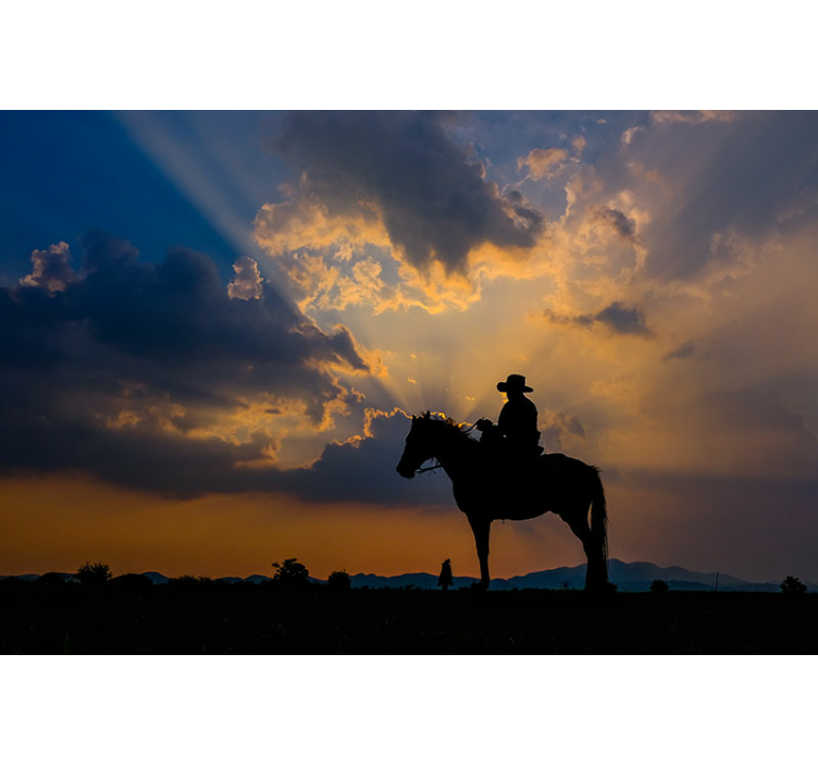 Fototapeta zwierzęta jeździec na koniu - TenStickers