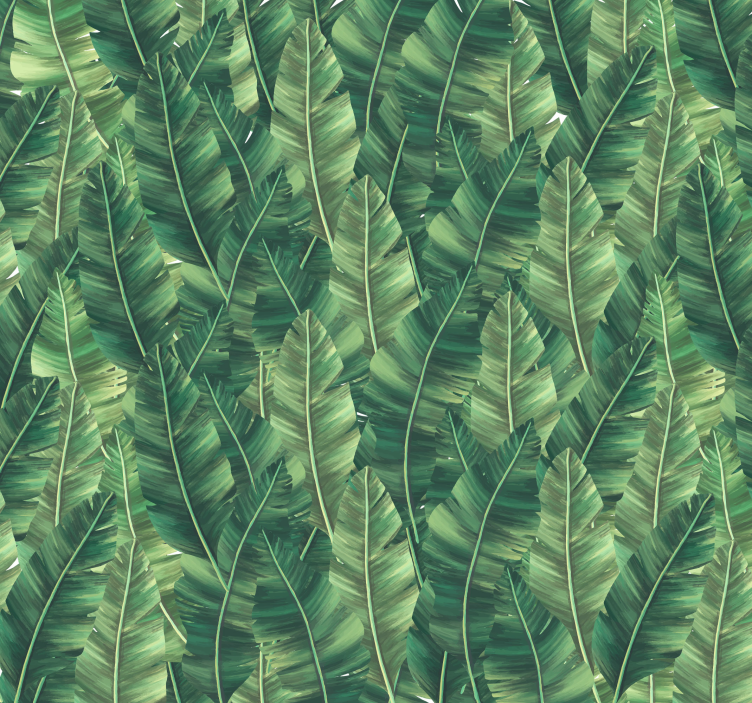 Fototapeta natura duże liście - TenStickers