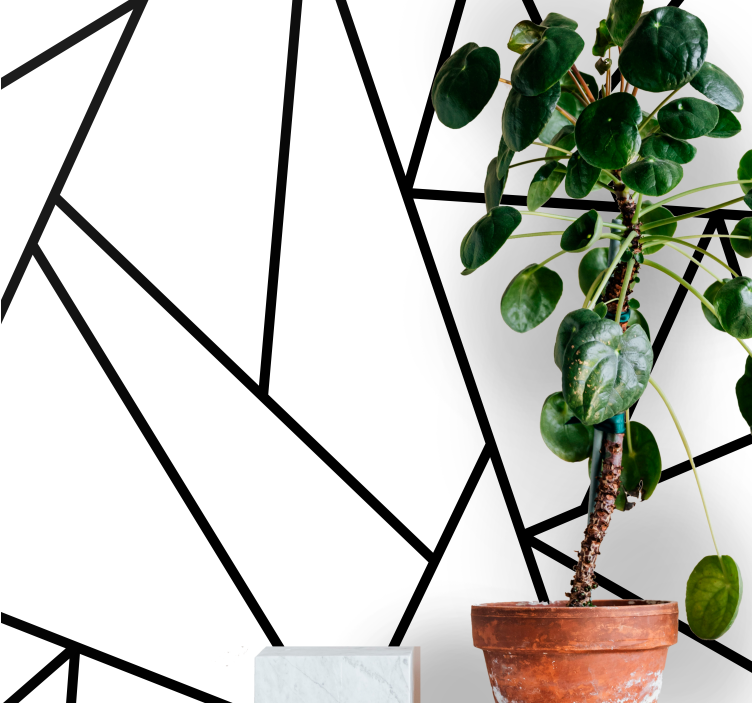 Fotoapeta abstrakcyjna czarne liniowe wzory - TenStickers