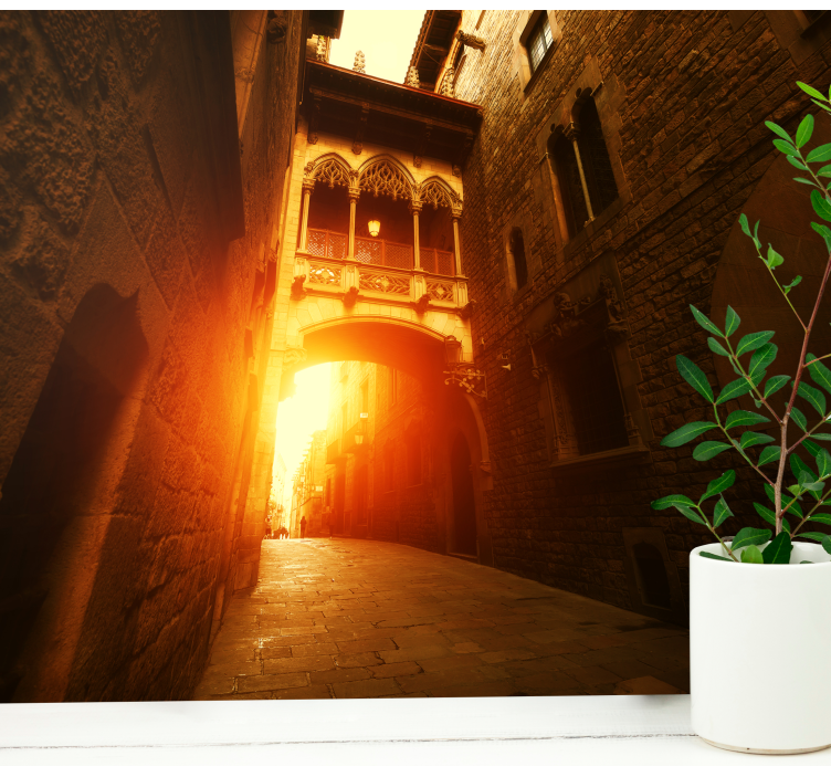 Fototapeta barcelona historyczny gotycki Łuk - TenStickers