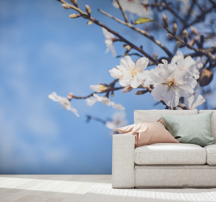 Fototapety z drzewem migdałowym - TenStickers