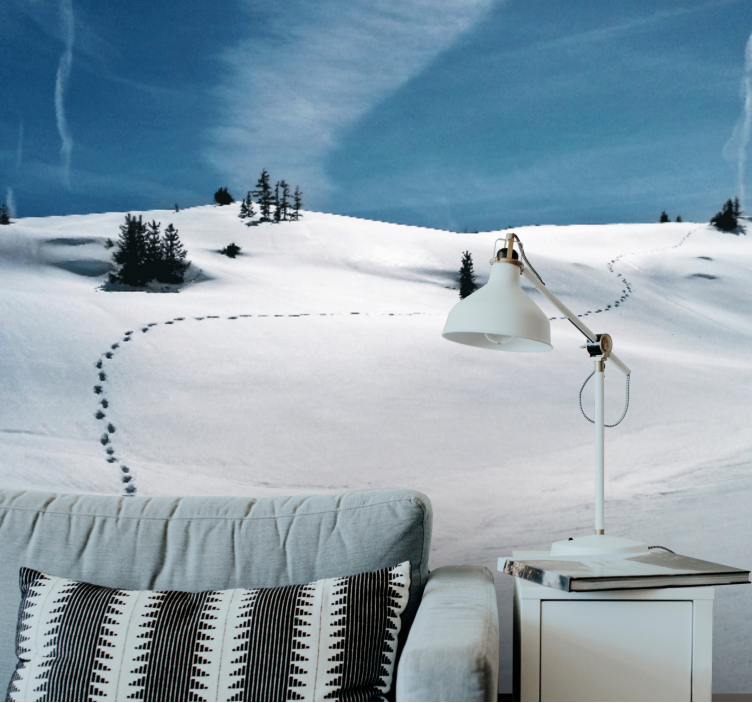 Fototapeta góry śnieżna górska ścieżka - TenStickers