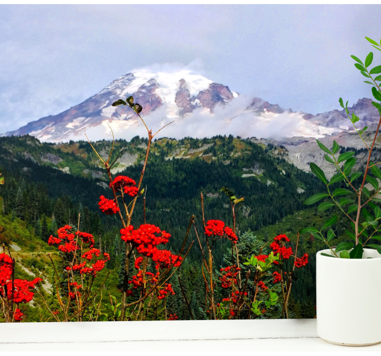 Fototapeta krajobraz góra pokryta śniegiem - TenStickers