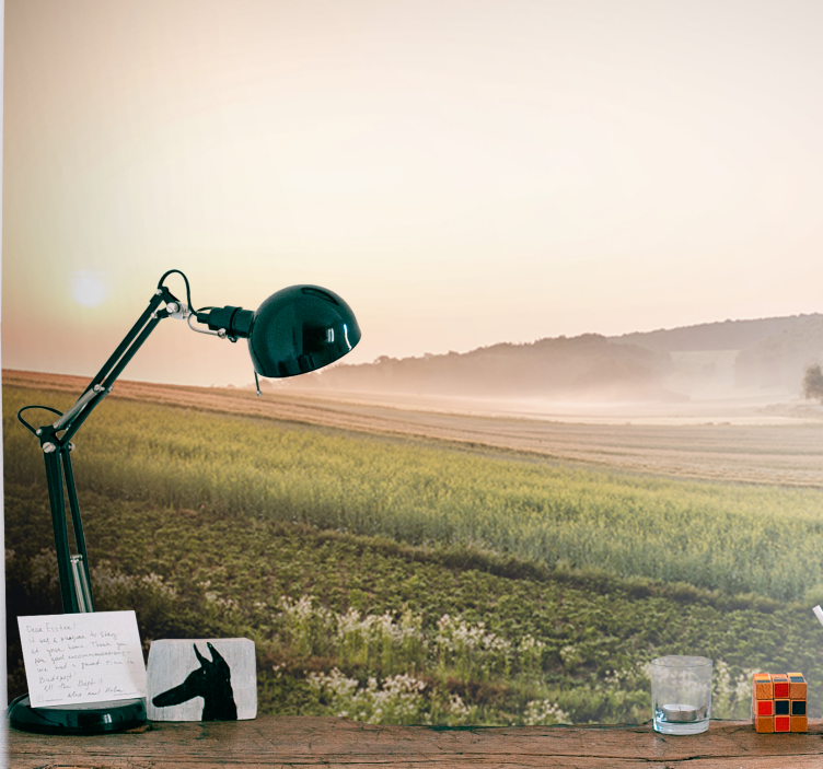 Fototapeta krajobraz spokojne zielone Łąki - TenStickers