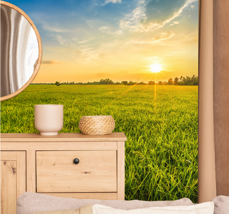Fototapeta krajobraz zachód słońca nad zielonymi polami - TenStickers