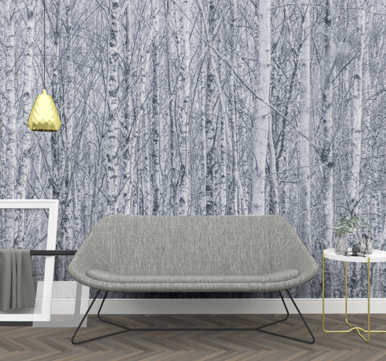 Fototapeta las gaj brzozowy w dziczy - TenStickers