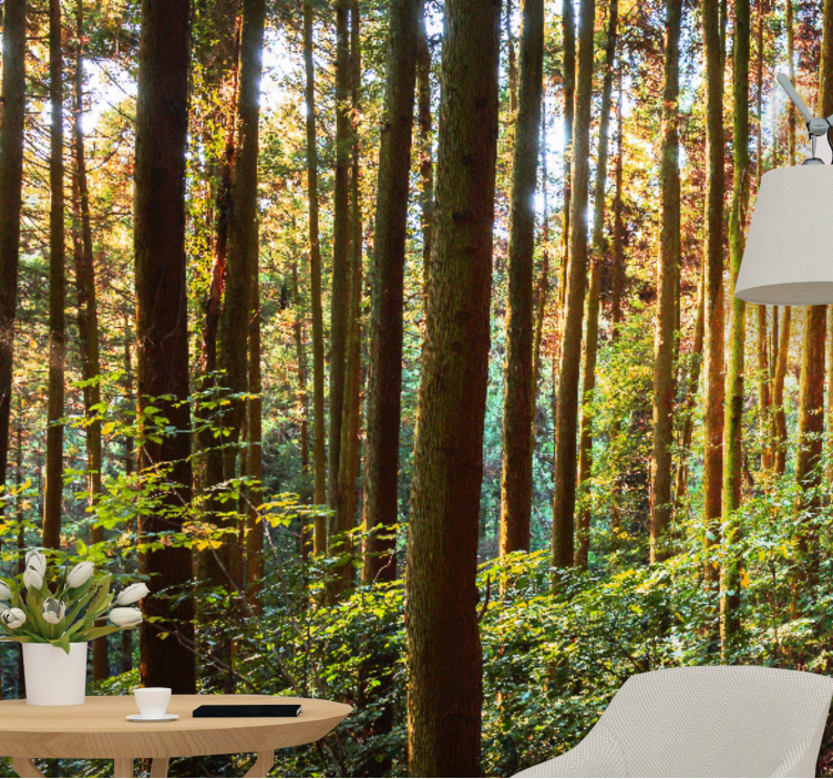 Fototapeta las gęsty zielony las - TenStickers