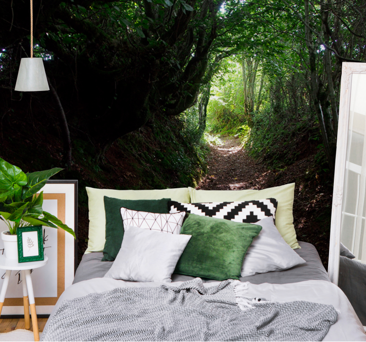 Fototapeta las Ścieżka w lesie - TenStickers