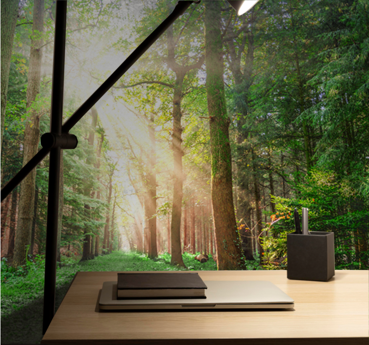 Fototapeta las Ścieżka w spokojnym lesie - TenStickers