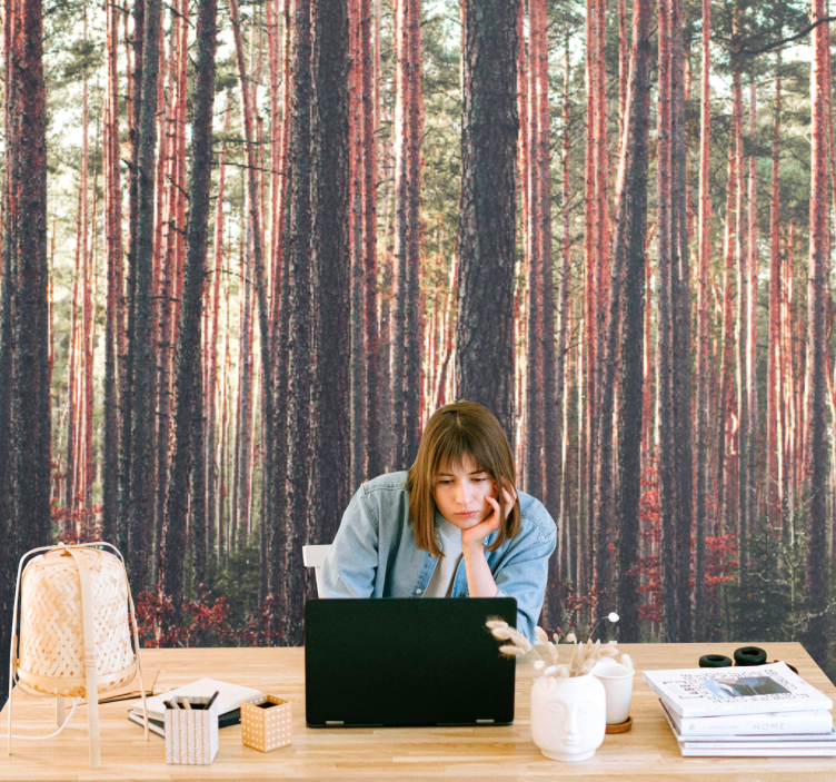 Fototapeta las spokojne sosnowe lasy - TenStickers