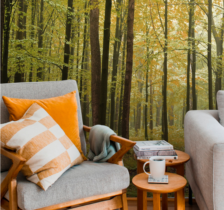 Fototapeta las w jesiennym krajobrazie leśnym - TenStickers