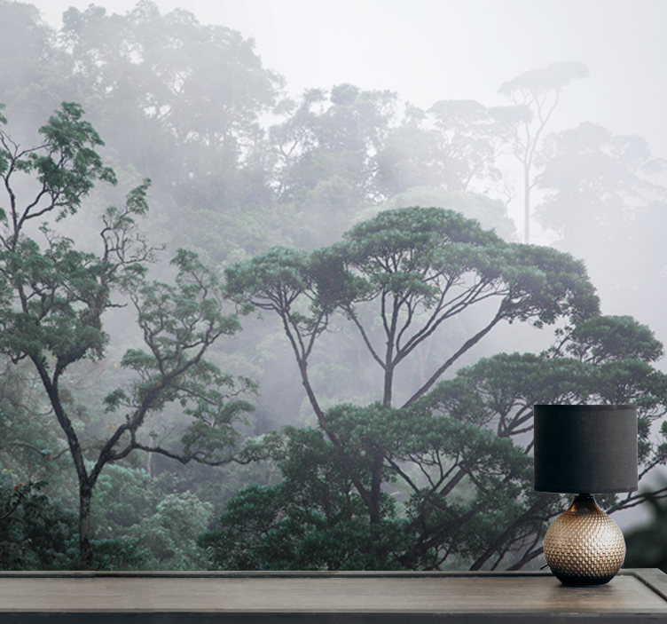 Fototapeta las w mglistym leśnym krajobrazie - TenStickers