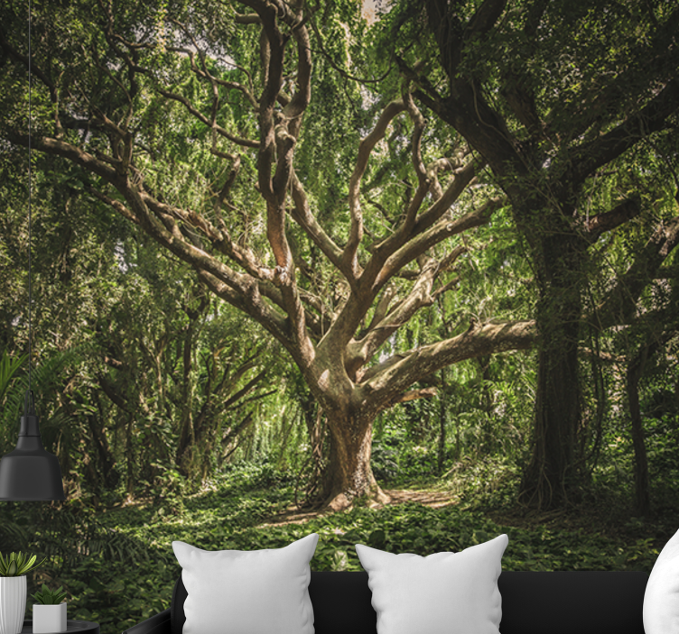 Fototapeta las wspaniały baldachim leśny - TenStickers