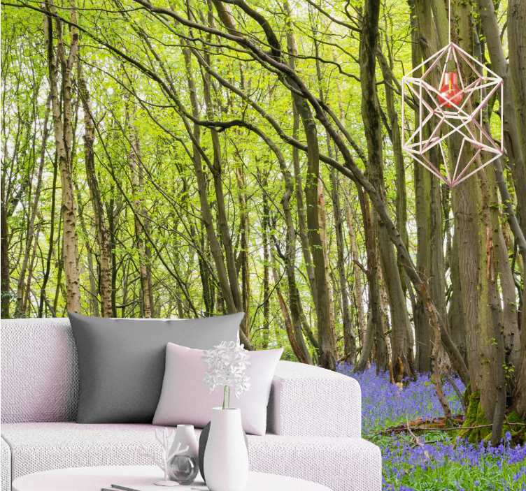 Fototapeta las z intensywnie zielonymi drzewami - TenStickers