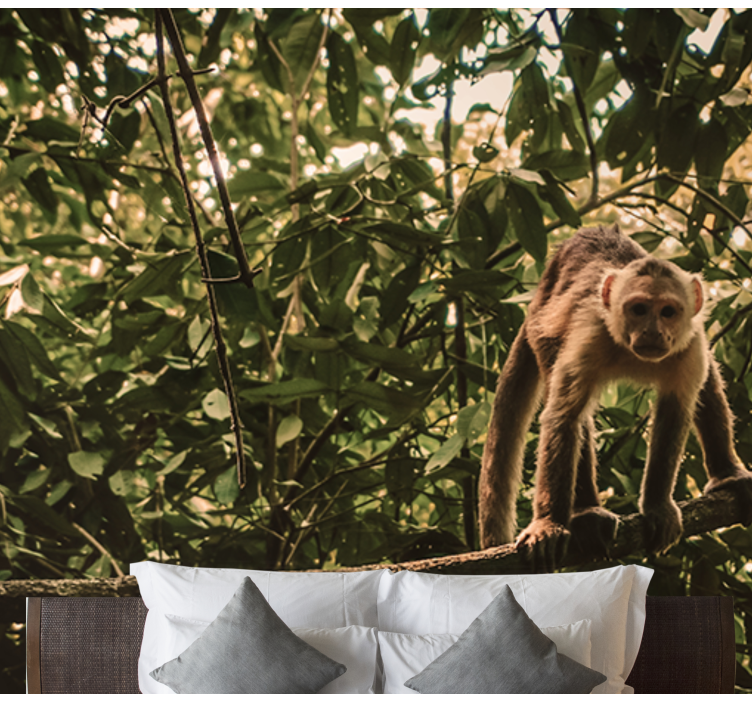 Fototapeta małpy amazońskie - TenStickers