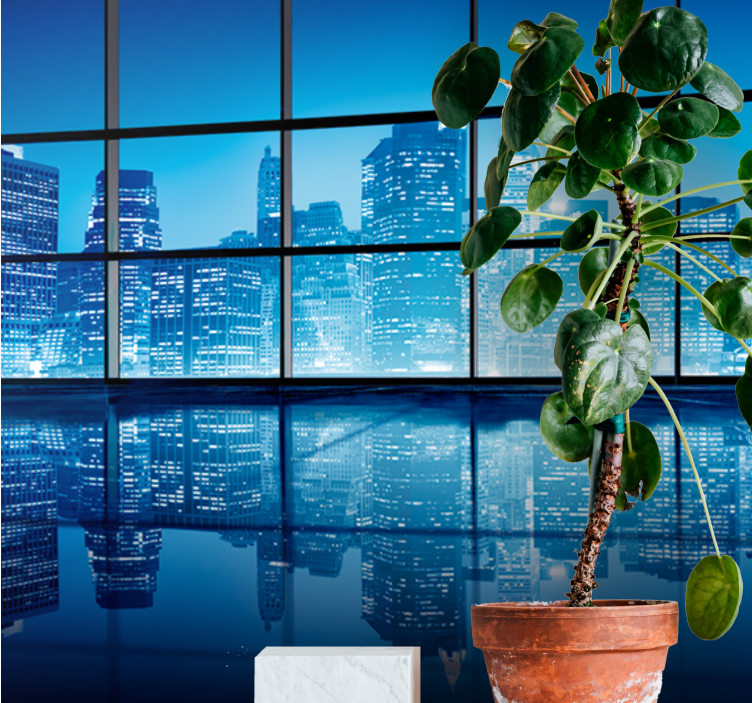 Fototapeta miasto odbicie nocnego krajobrazu - TenStickers