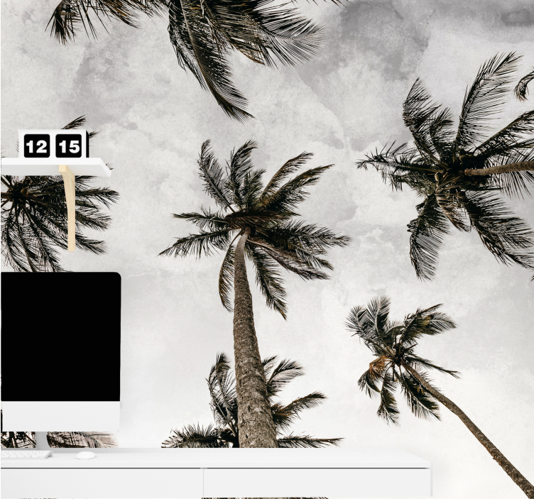 Fototapeta natura - baldachim palmowy - TenStickers