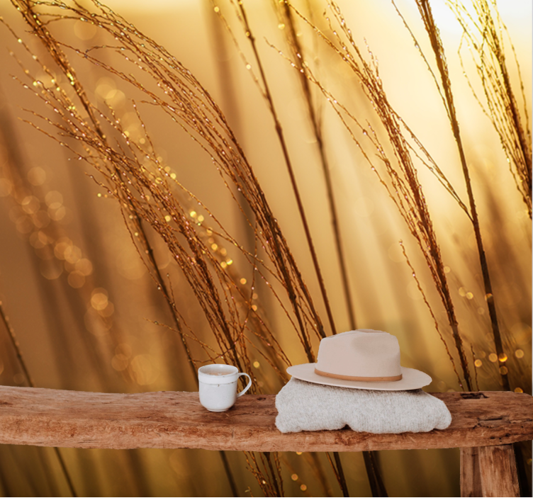 Fototapeta natura delikatna złota trawa - TenStickers