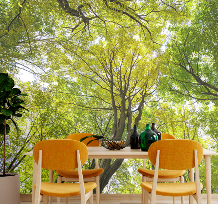 Fototapeta natura gęsty baldachim leśny - TenStickers