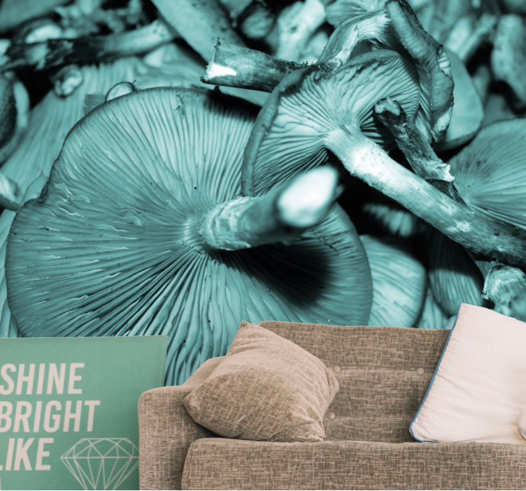 Fototapeta natura kłębek grzybów - TenStickers