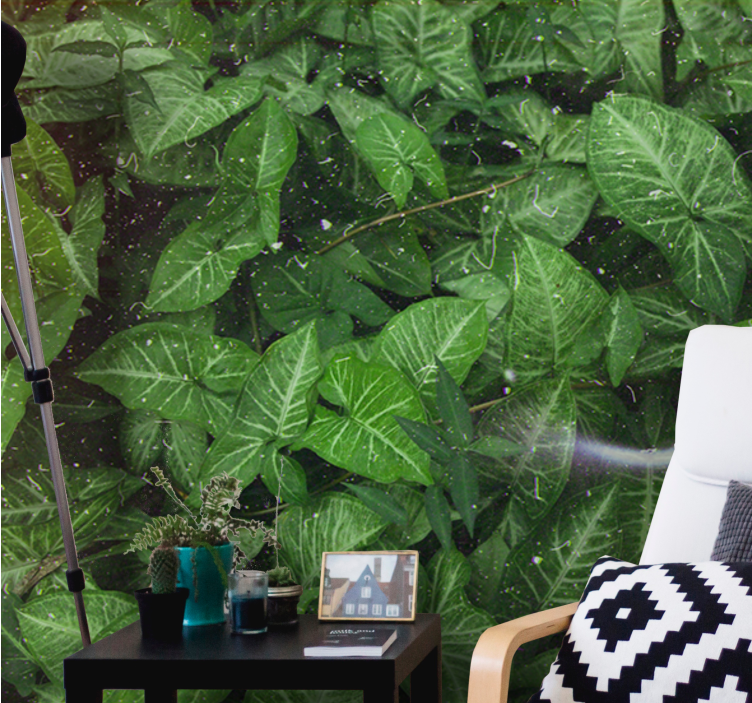 Fototapeta natura kompozycja Żywych liści - TenStickers