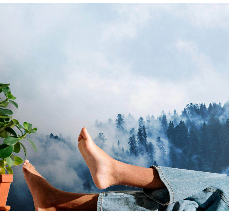 Fototapeta natura krajobraz leśny w mgle - TenStickers