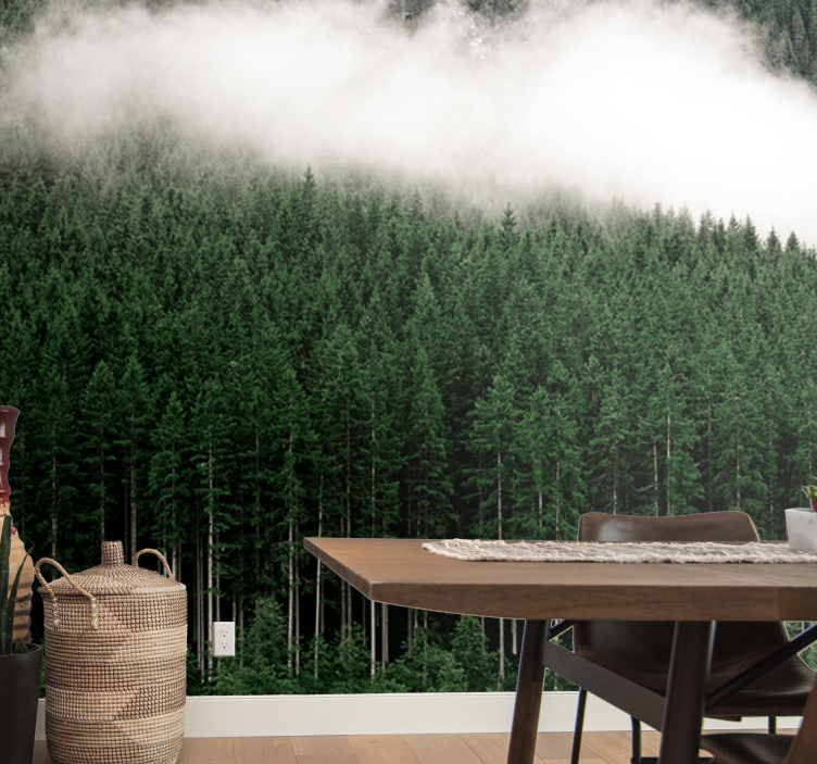 Fototapeta natura malowniczy krajobraz lasu - TenStickers