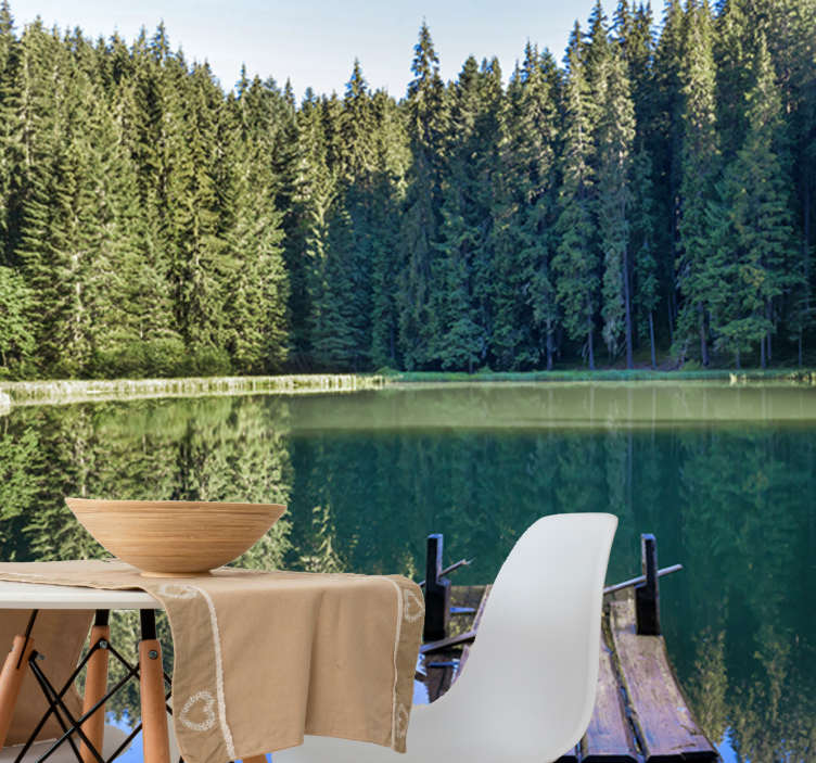 Fototapeta natura odbicie spokojnego lasu - TenStickers