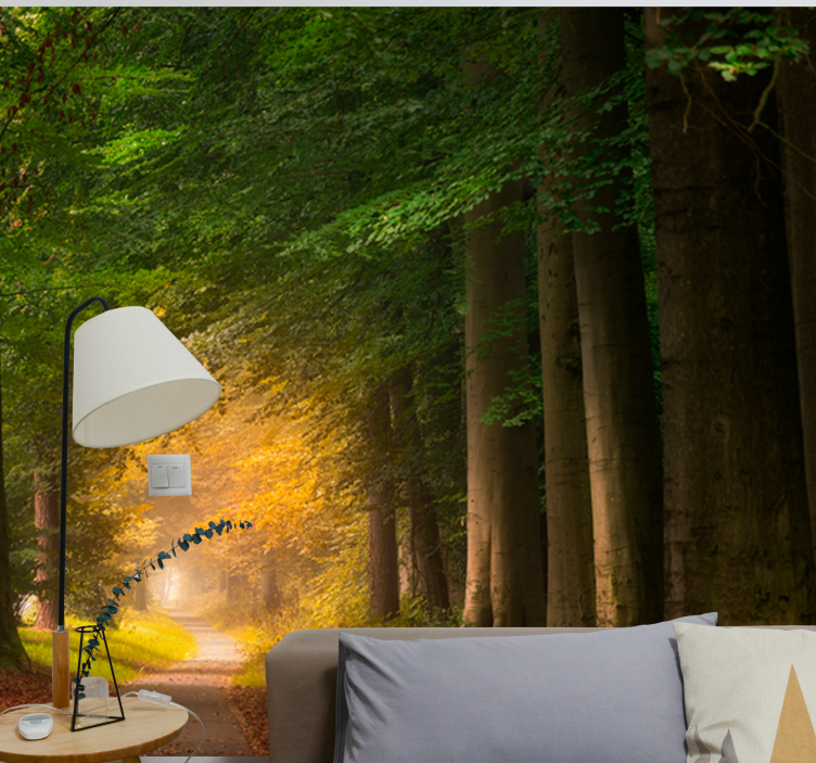 Fototapeta natura scena leśnej ścieżki - TenStickers