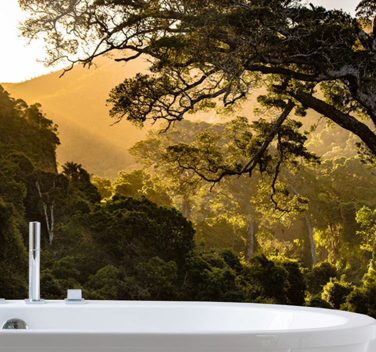 Fototapeta natura sceneria zielonego lasu - TenStickers