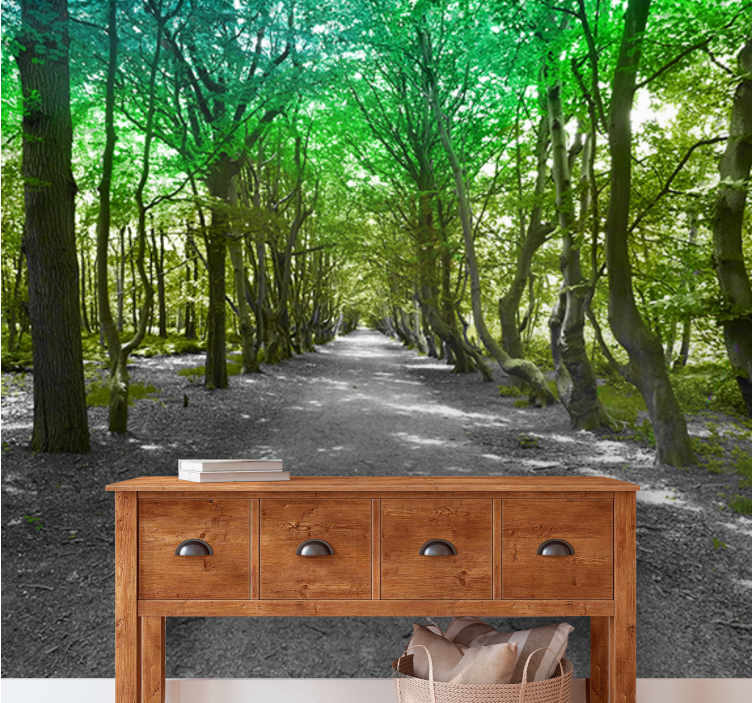 Fototapeta natura Ścieżka w bujnych drzewach - TenStickers
