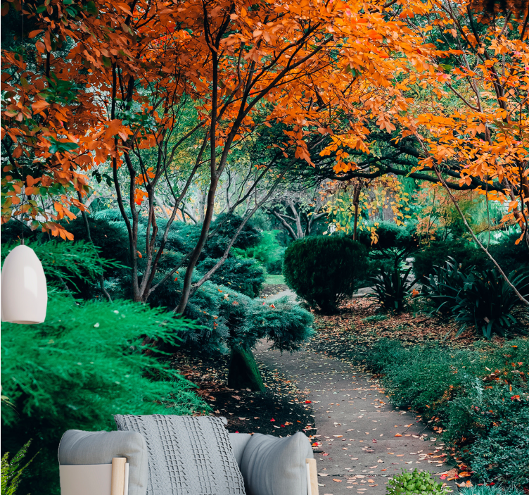 Fototapeta natura Ścieżka wśród drzew - TenStickers