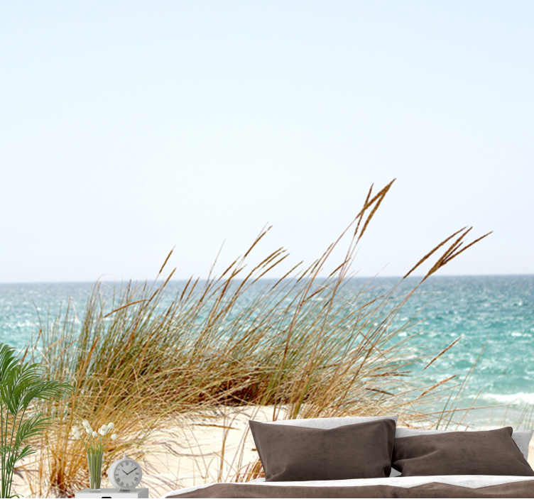 Fototapeta natura spokojny widok na wybrzeże - TenStickers