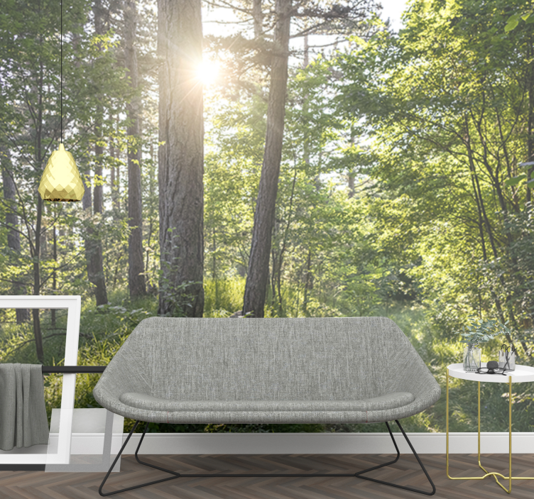 Fototapeta natura Świecąca leśna Ścieżka - TenStickers