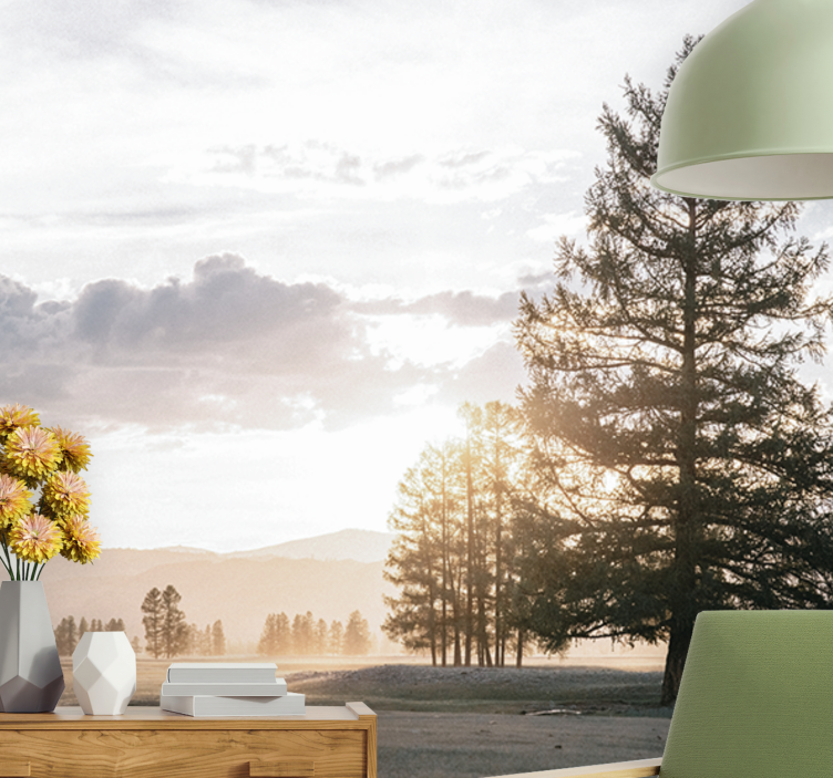 Fototapeta natura sylwetka spokojnej sosny - TenStickers