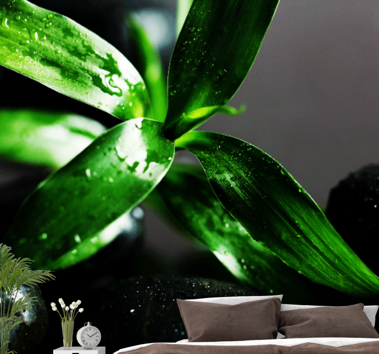 Fototapeta natura tekstura świeżych liści - TenStickers