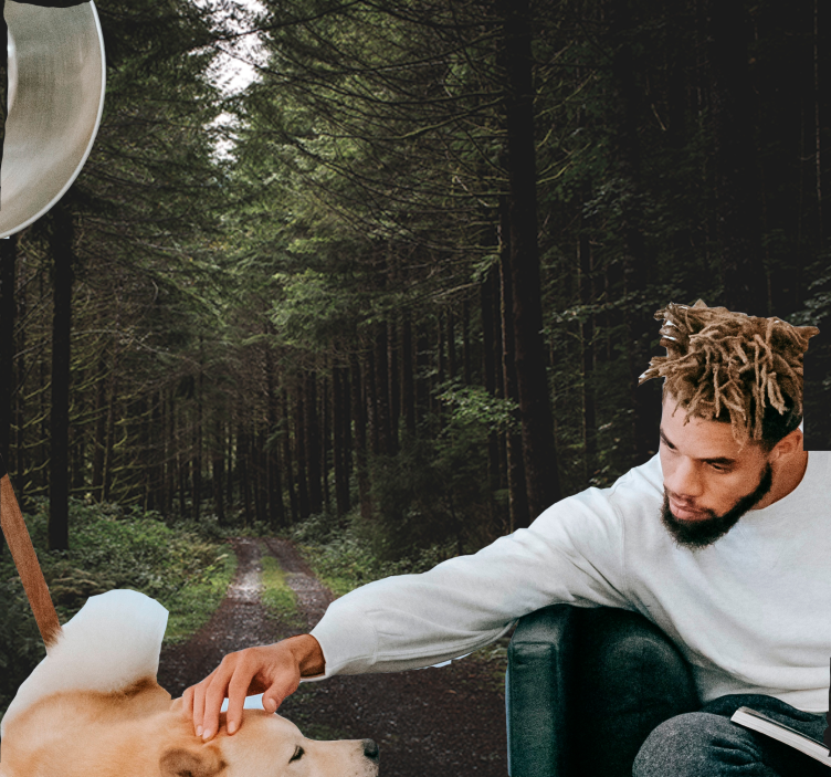 Fototapeta natura zielony leśny szlak - TenStickers