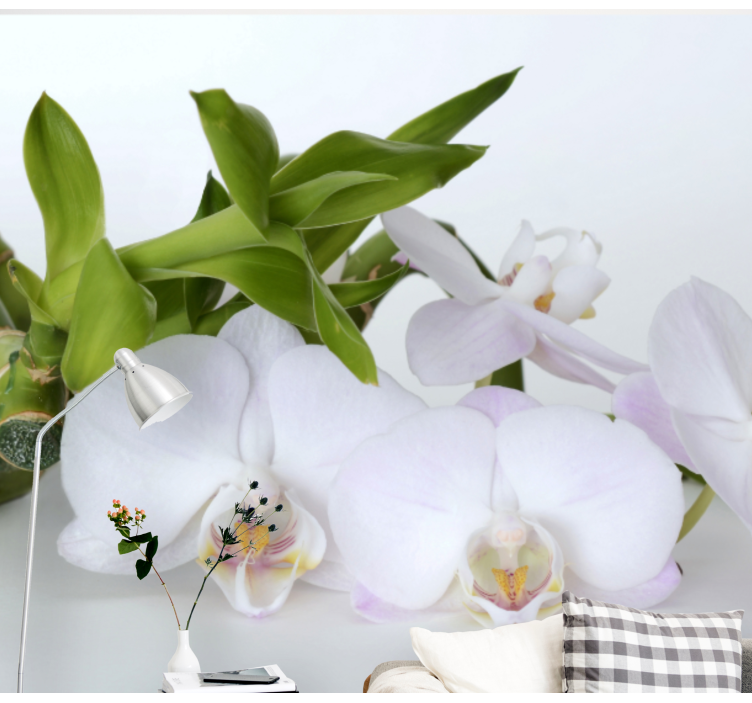 Fototapeta orchidea elegancki bukiet orchidei - TenStickers