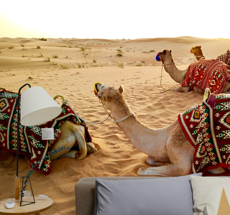 Fototapeta pustynia z wielbłądami w tle - TenStickers