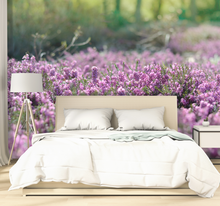 Fototapeta różowe kwiaty wrzosy - TenStickers